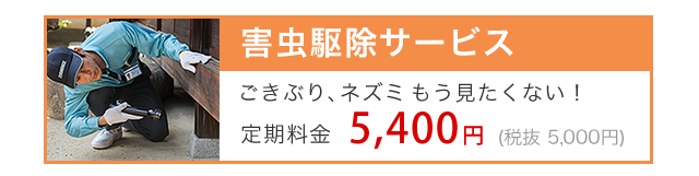 Q쏜T[rX