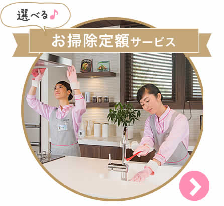 選べるお掃除定額サービス
