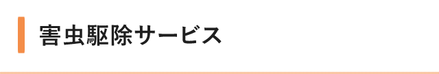 Q쏜T[rX