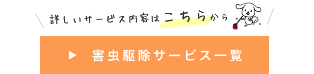 Q쏜T[rXꗗ