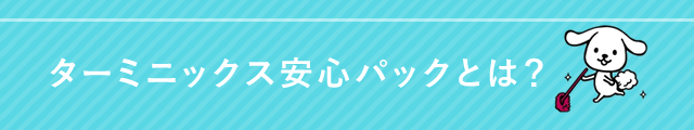 ^[~jbNXSpbNƂ